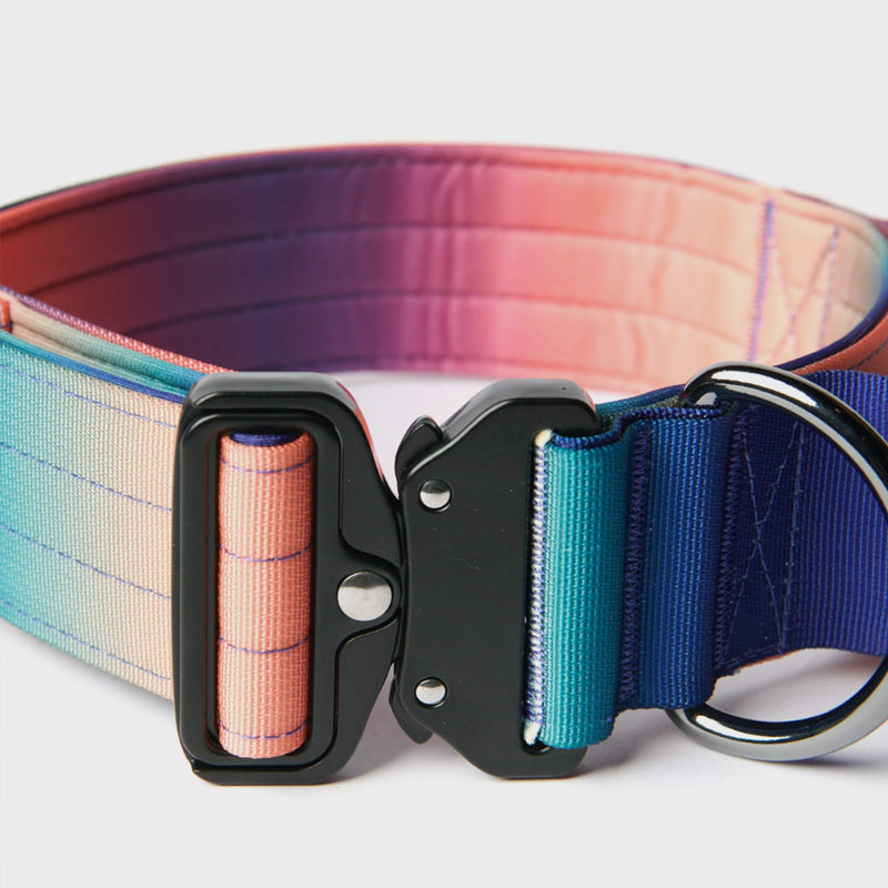 Taktisches Hundehalsband - und Leinen-Set - Kaleidoskop