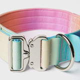 Taktisches Hundehalsband - und Leinen-Set - Pastellglasur