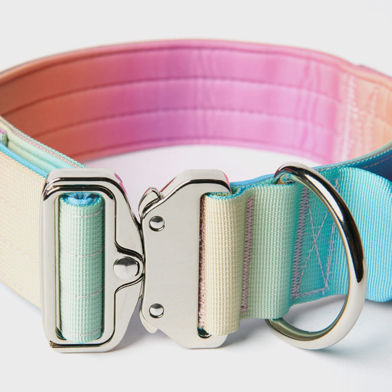 Taktisches Hundehalsband - und Leinen-Set - Pastellglasur