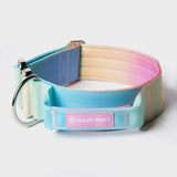 Taktisches Hundehalsband - und Leinen-Set - Pastellglasur