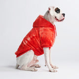Samtiger Hunde Hoodie - Rubinrot