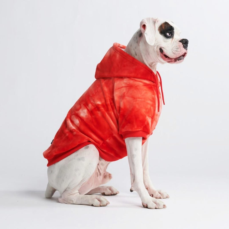 Samtiger Hunde Hoodie - Rubinrot