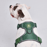 Comfort Control Geschirr für große Hunde - Grün