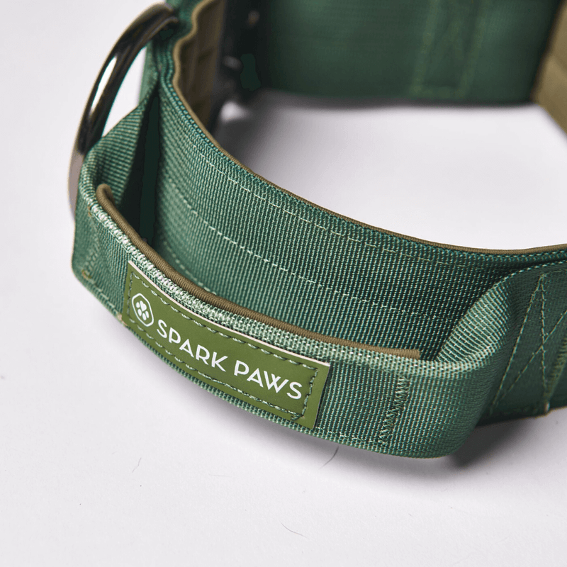 Taktisches Halsband für große Hunde - Grün