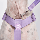 Komfort-Kontrolle No-Pull Hundegeschirr - Flieder