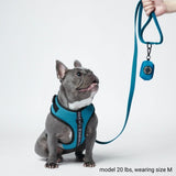 Superweiches Activewear Hundegeschirr - Blau