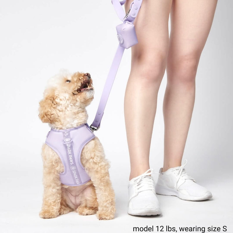 Super weiches Activewear Gassi-Set - Lila