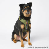 Superweiches Activewear Hundegeschirr - Grün
