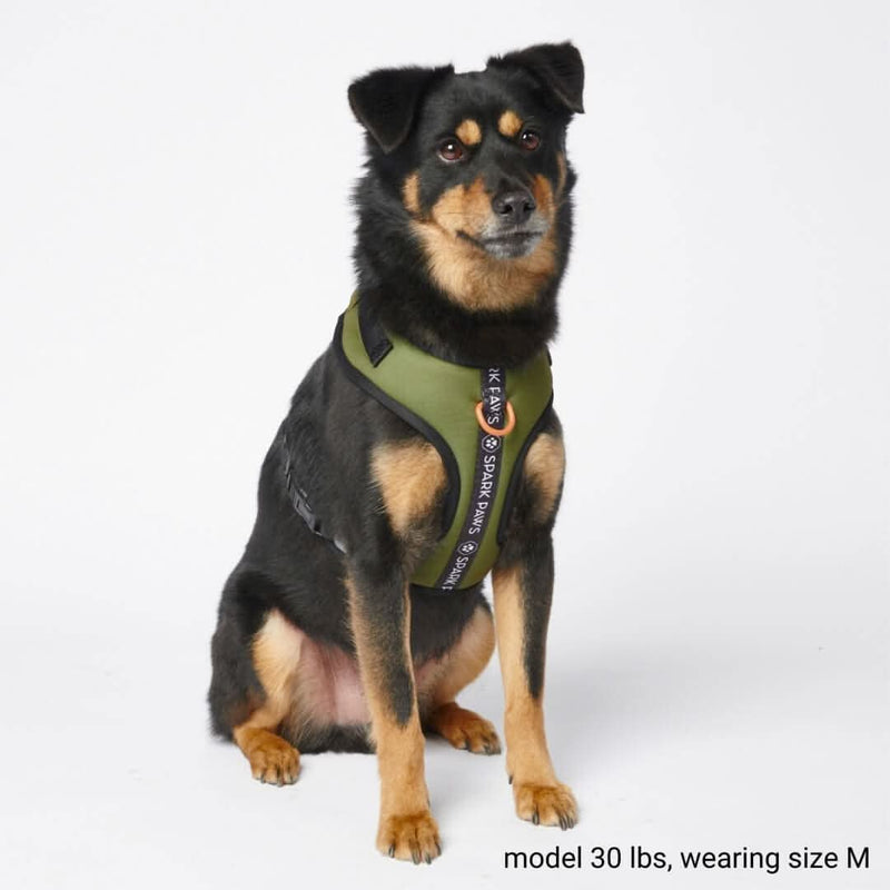Superweiches Activewear Hundegeschirr - Grün