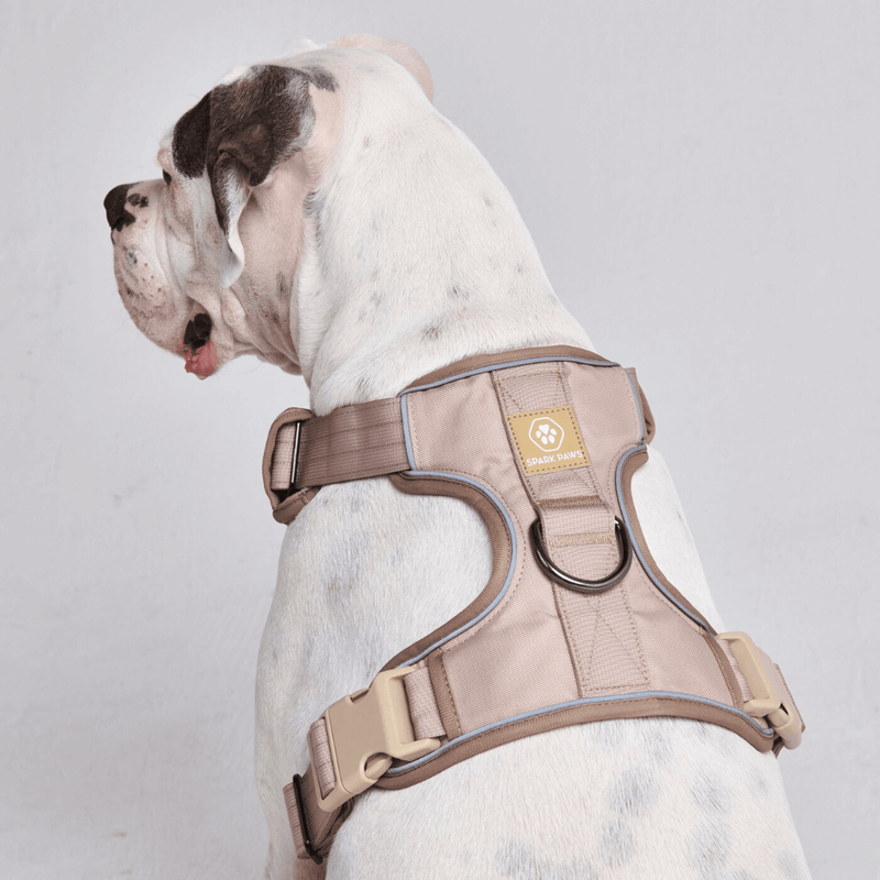 Comfort Control Geschirr für große Hunde - Hellbraun