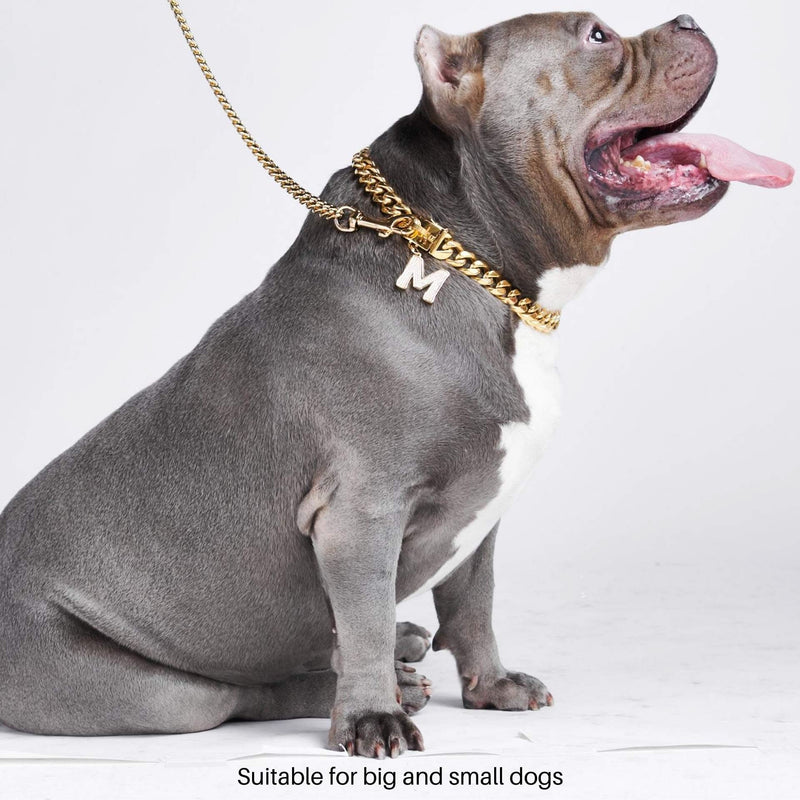 Cuban Link 20mm Ketten-Hundehalsband Gold