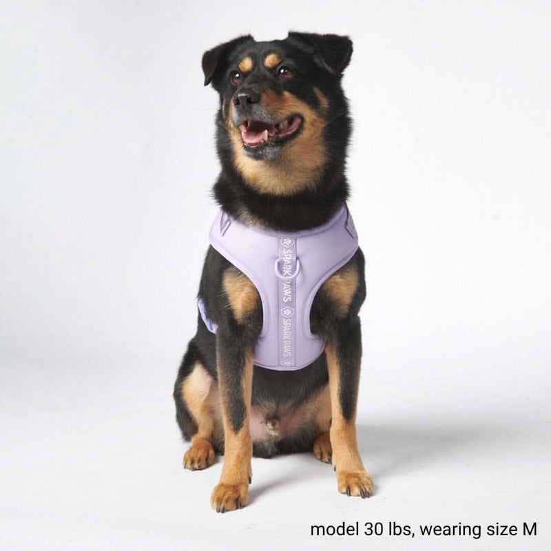 Superweiches Activewear Hundegeschirr - Lila