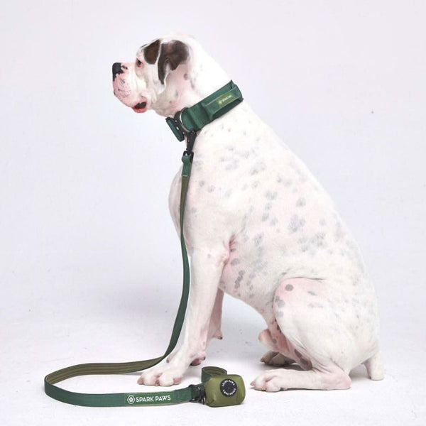 Taktisches Hundehalsband - und Leinen-Set - Grün