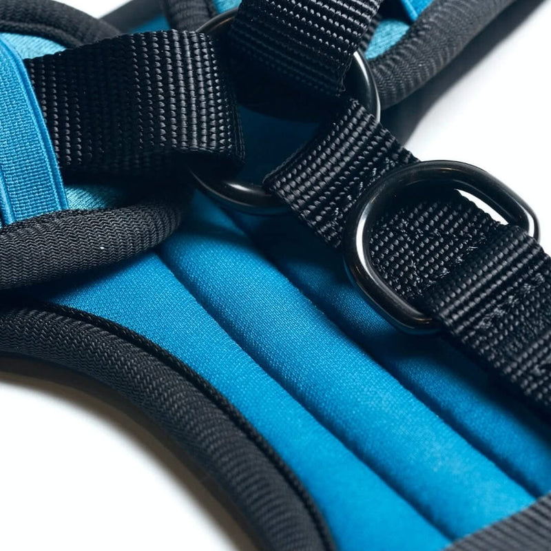 Superweiches Activewear Hundegeschirr - Blau