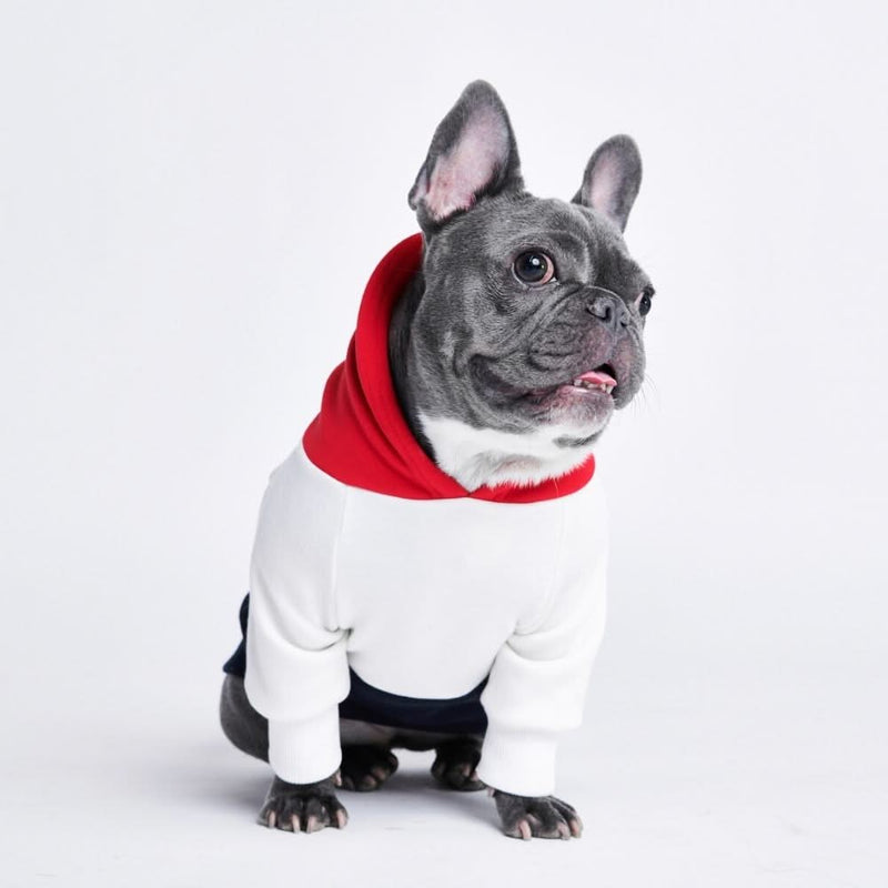 Rot Weiß Marine Hunde Hoodie