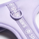 Superweiches Activewear Hundegeschirr - Lila