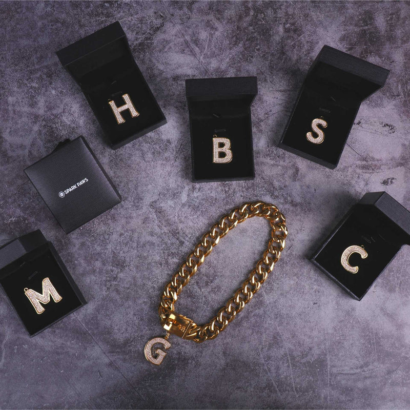 Hundeschmuck Buchstabenanhänger - B