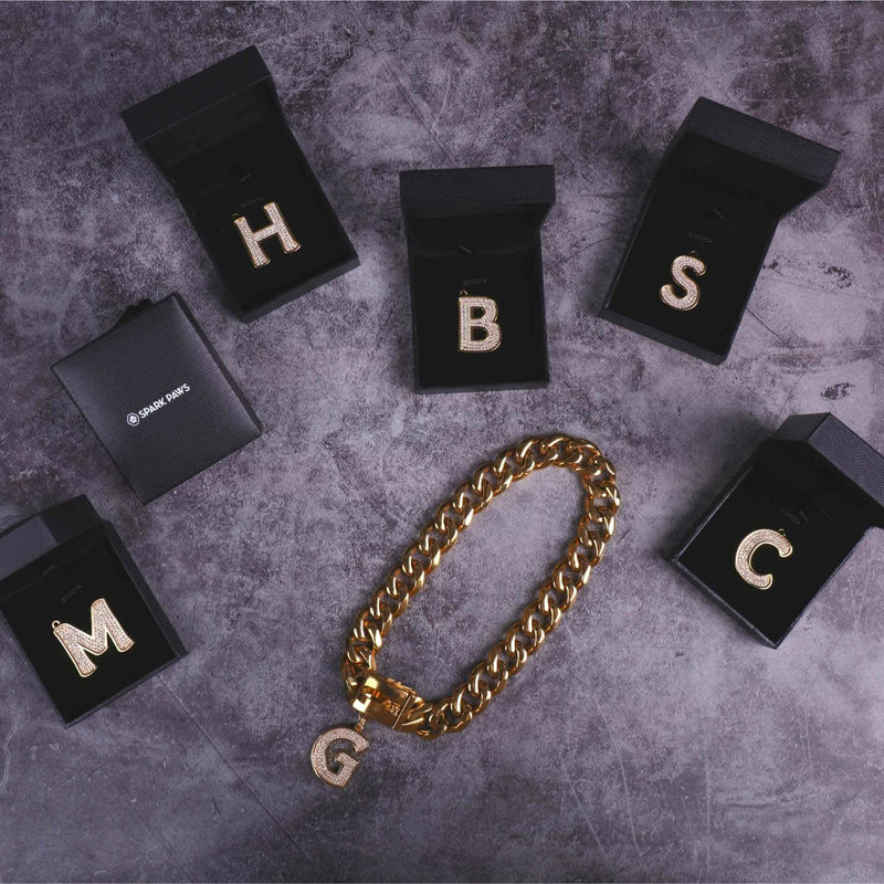 Gold Initial Letter Jewelry Tag for Dogs - M 