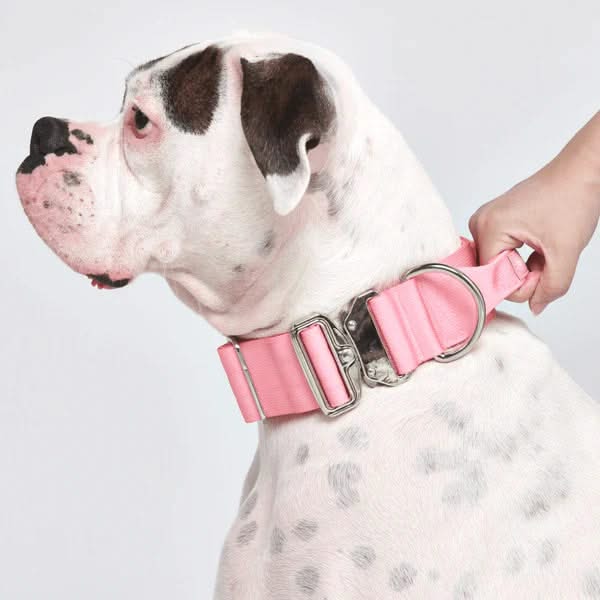 Taktisches Halsband für große Hunde - Schwarz