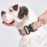 Taktisches Halsband für große Hunde - Schwarz