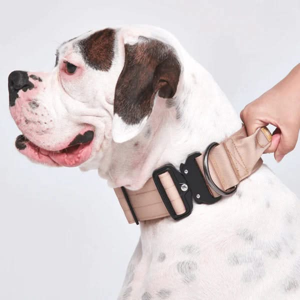 Taktisches Halsband für große Hunde - Schwarz