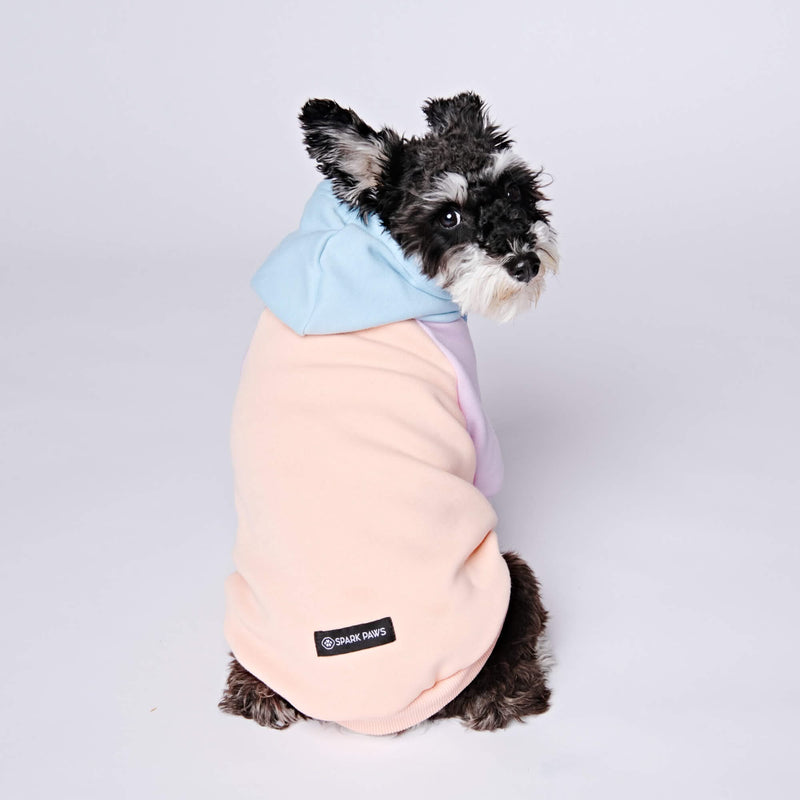 Bonbon Hunde Hoodie