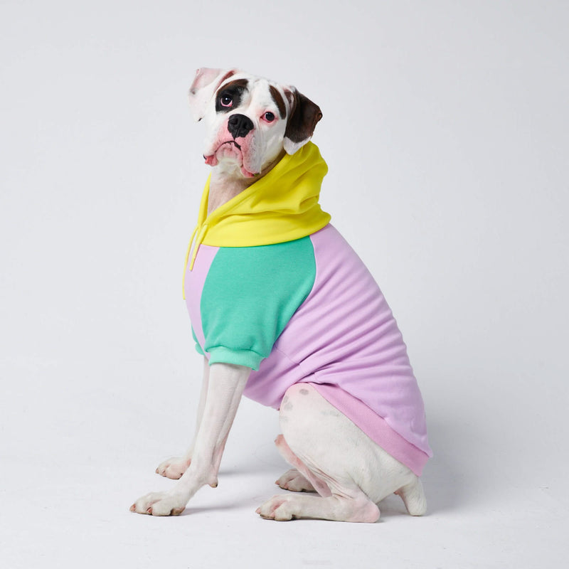 Lila-Türkis-Gelber Hunde Hoodie