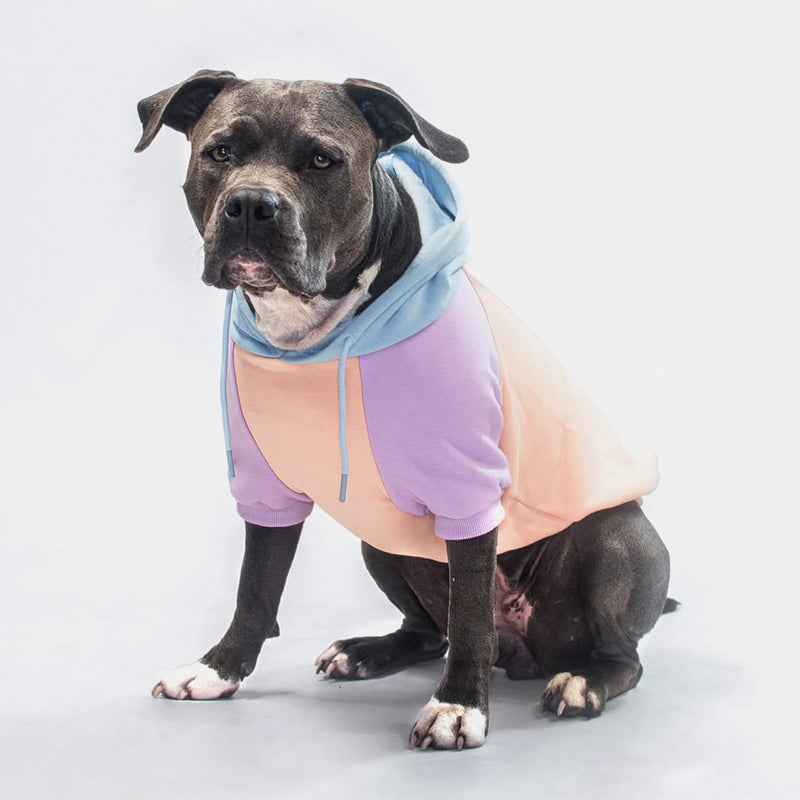 Bonbon Hunde Hoodie