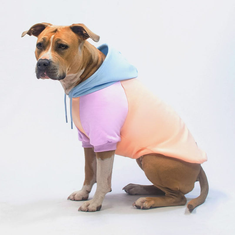 Bonbon Hunde Hoodie