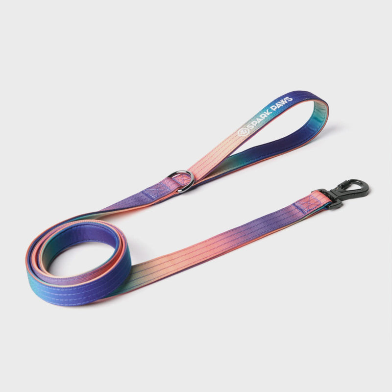 Taktisches Hundehalsband - und Leinen-Set - Kaleidoskop