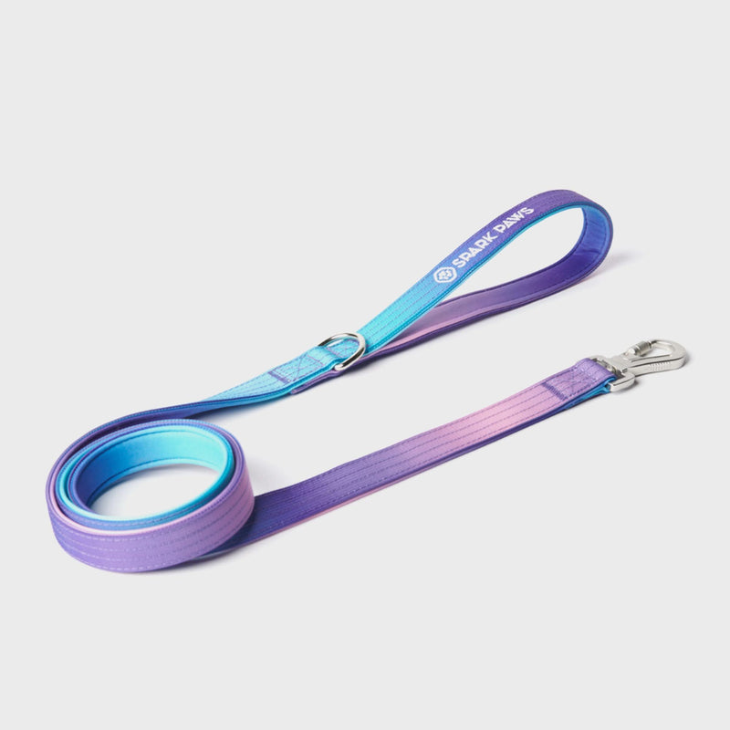 Taktisches Hundehalsband - und Leinen-Set - 90s Retro