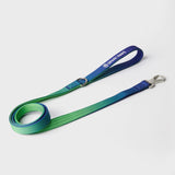 Komfort-Kontrolle No-Pull Hundegeschirr set - Limewelle