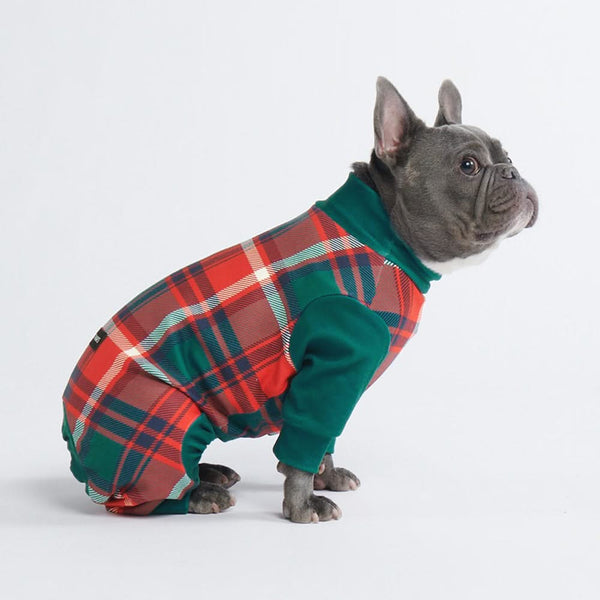 Hundepyjama – Grün und Rot kariert