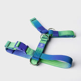 Komfort-Kontrolle No-Pull Hundegeschirr set - Limewelle