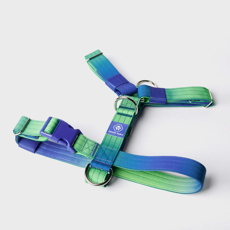Komfort-Kontrolle No-Pull Hundegeschirr set - Limewelle