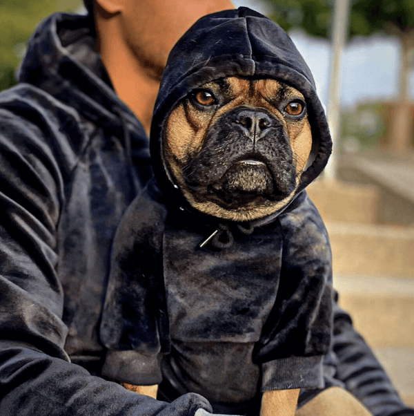 bulldog hoodies for dogs