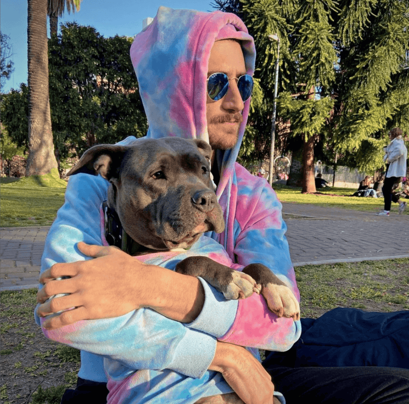 Samtiger Hunde Hoodie - Rosa-Blau