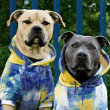 Samtiger Hunde Hoodie - Nova