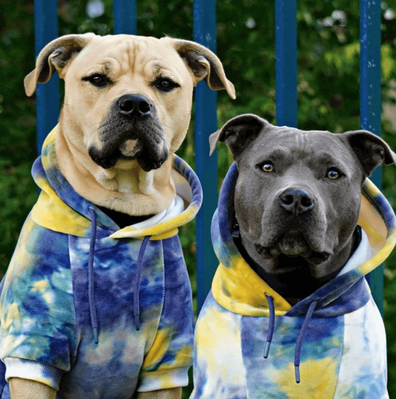 Samtiger Hunde Hoodie Nova SPARK PAWS