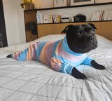 Hunde Pyjama - Bonbon