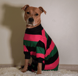 Hunde Pyjama - Schwarz Grün Rosa