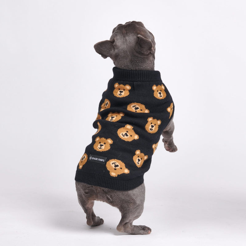 Gestrickter Hundepullover - Kaputtes Teddybär