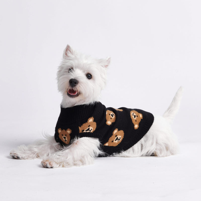 Gestrickter Hundepullover - Kaputtes Teddybär