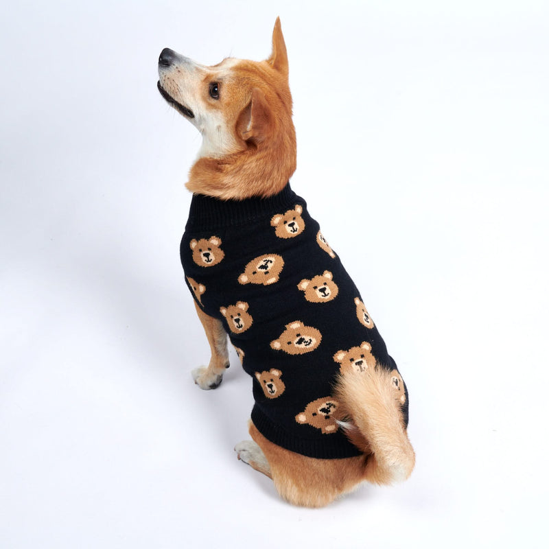 Gestrickter Hundepullover - Kaputtes Teddybär