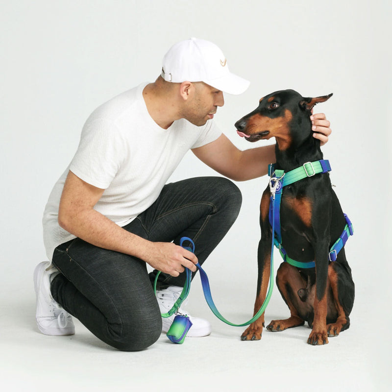 Komfort-Kontrolle No-Pull Hundegeschirr - Limewelle