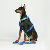 Komfort-Kontrolle No-Pull Hundegeschirr set - Limewelle