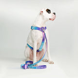 Komfort-Kontrolle No-Pull Hundegeschirr set - 90s Retro