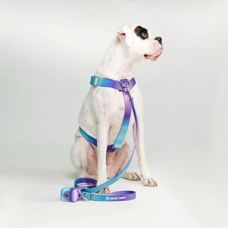 Komfort-Kontrolle No-Pull Hundegeschirr set - 90s Retro