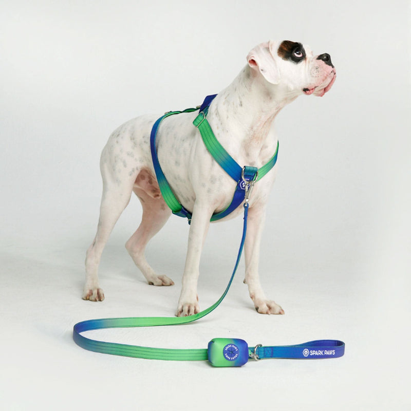 Komfort-Kontrolle No-Pull Hundegeschirr - Limewelle