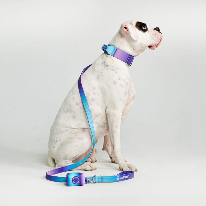 Taktisches Hundehalsband - und Leinen-Set - 90s Retro